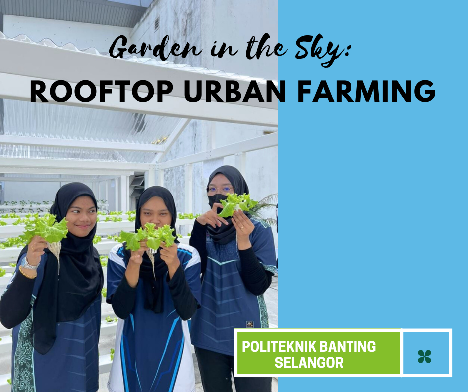 GARDEN IN THE SKY : ROOFTOP URBAN FARMING