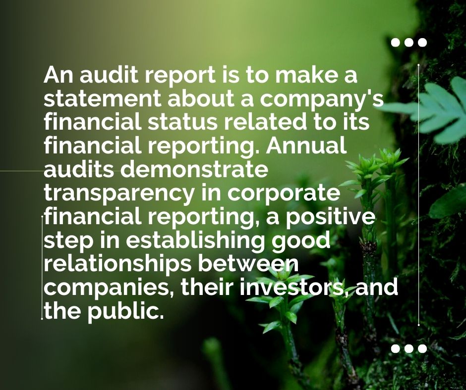 Synopsis of Audit Report