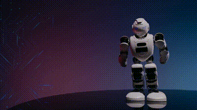 A Guide to Humanoid Robot