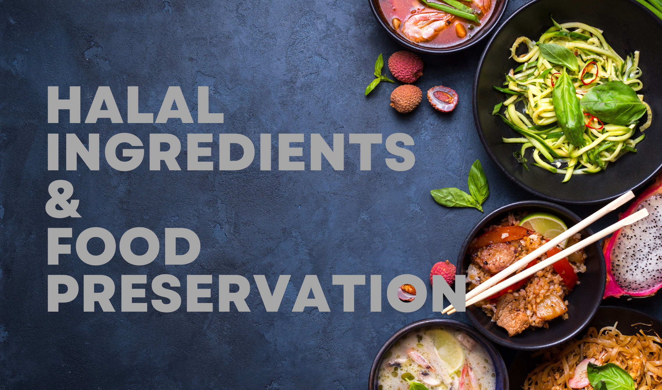 HALAL INGREDIENTS AND FOOD PRESERVATION (DMH POLISAS 2024)