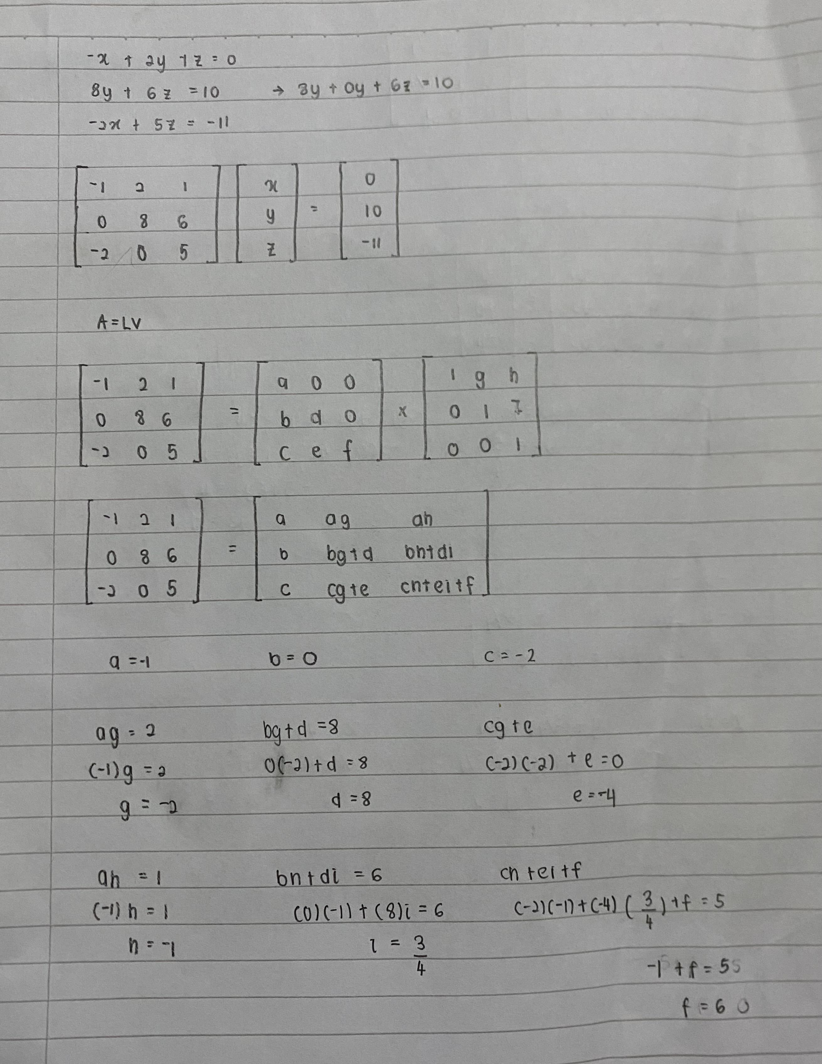 TUN AFIFAH UMAIRA BINTI TUN MOHD AZIZI (33DCE24F1019)