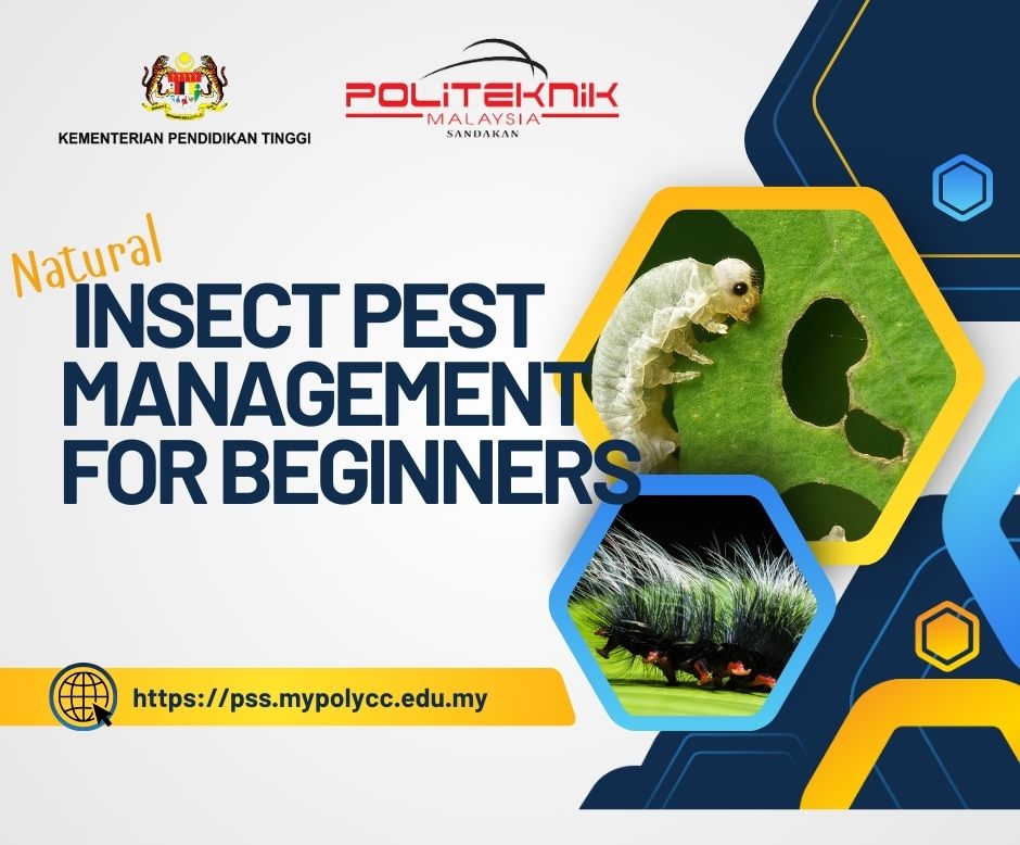 Natural Insect Pest Management for Beginners