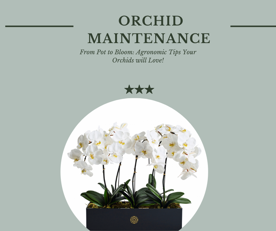 POTENTIAL AGRICULTURE CROP