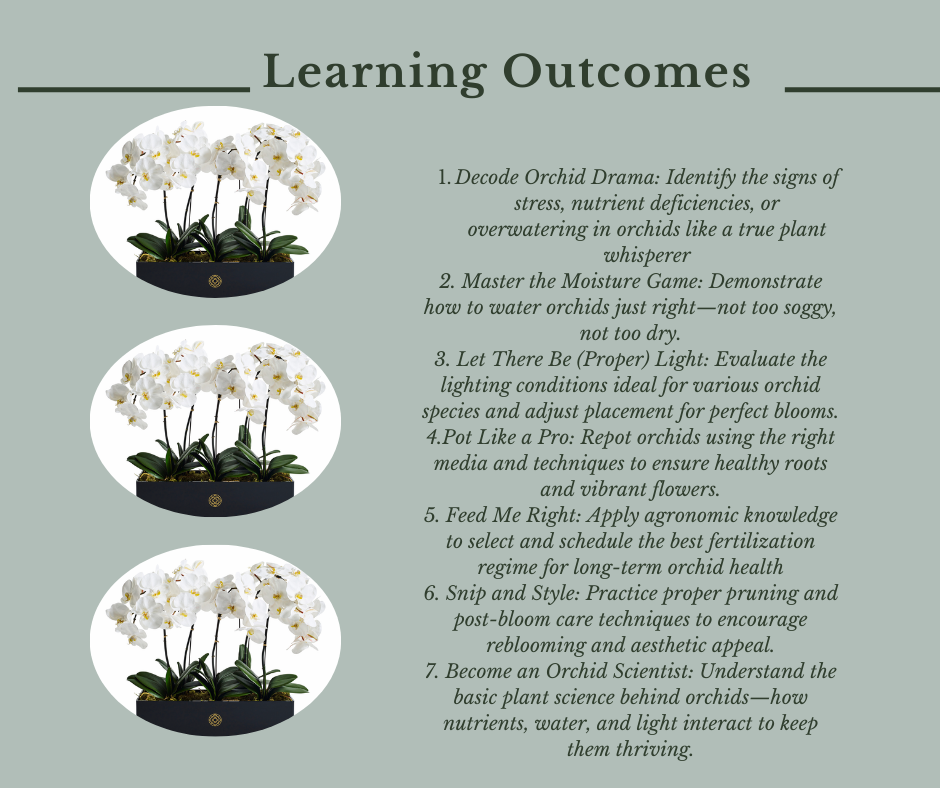 Learning outcomes