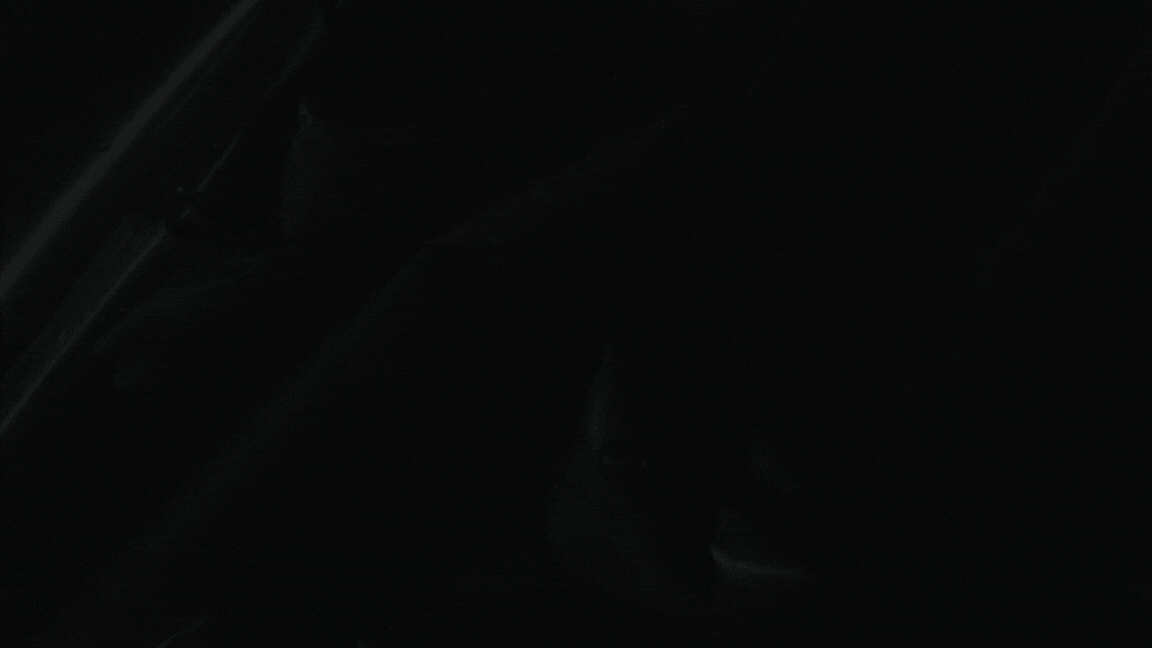 Importance of Registering Intellectual Property (IP)